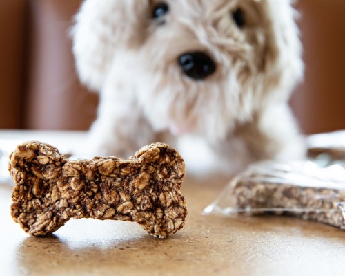 A close-up of a dog-shaped treat with a plush dog in the background, sitting on a table.