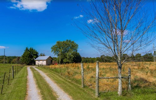 A gravel driveway leads to a small house beside a grassy field and a bare tree under a clear blue sky.