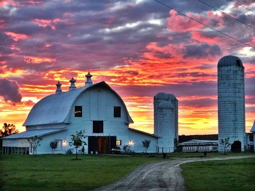 A white barn and silos against a vibrant sunset sky, with a gravel path leading to the building.