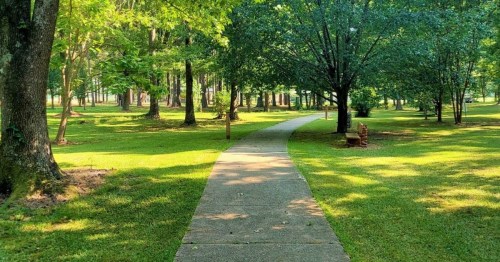 A serene park scene featuring a winding concrete path surrounded by lush green trees and grass.