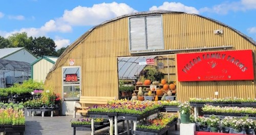 A greenhouse with a sign reading "Pigeon Family Farms," surrounded by colorful flowers and pumpkins on display.