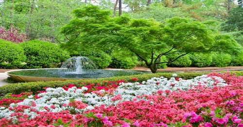 A serene garden featuring a fountain, lush greenery, and vibrant pink and white flowers in bloom.