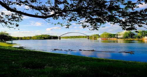A serene river scene with a bridge in the background, framed by trees and a clear blue sky.