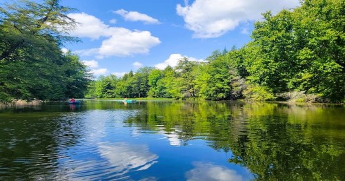 A serene lake surrounded by lush green trees and a clear blue sky, with reflections on the water's surface.