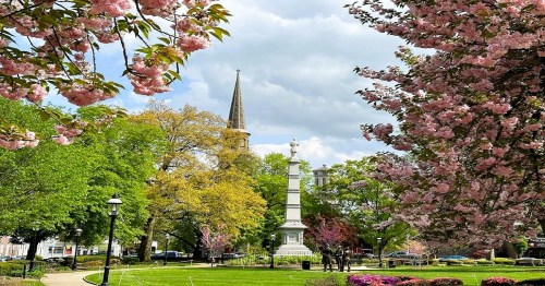 A park scene with blooming cherry trees, a monument, and a church spire under a partly cloudy sky.