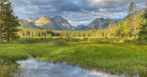 A serene landscape featuring a grassy meadow, a calm pond, and mountains under a cloudy sky.
