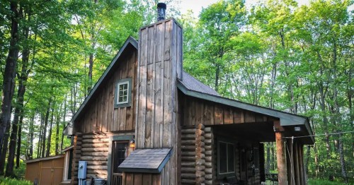 A rustic wooden cabin surrounded by lush green trees in a forested area.