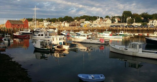 A serene harbor scene with various boats docked, reflecting in calm water, surrounded by quaint buildings and trees.