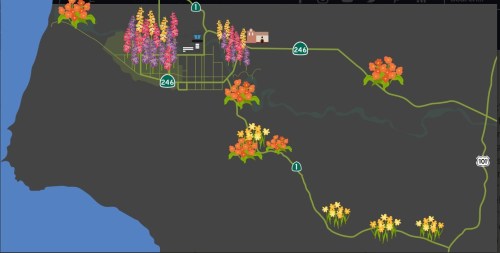 Map illustration featuring colorful flowers along routes 1 and 246, with a small town and buildings depicted.