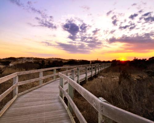A wooden boardwalk leads through grassy dunes at sunset, with colorful clouds in the sky.