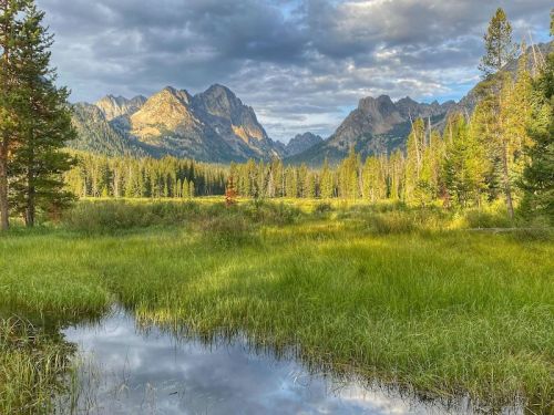A serene landscape featuring a grassy meadow, a calm pond, and majestic mountains under a cloudy sky.