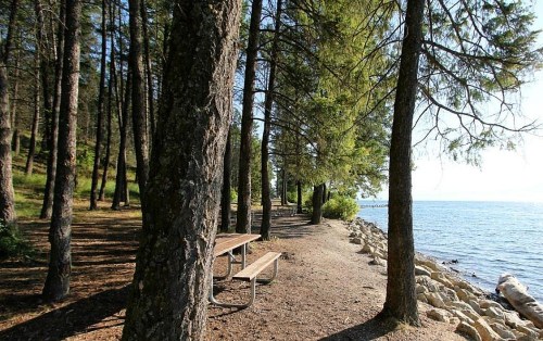 A serene lakeside scene with tall trees, a picnic table, and a rocky shoreline under a clear blue sky.