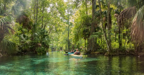 Kayakers paddle along crystal-clear water in Florida.