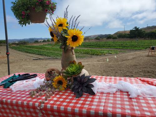 A table with a checkered cloth displays a vase of sunflowers and succulents, set against a farm field backdrop.