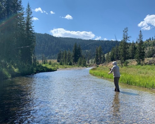 A person stands in a clear river, casting a fishing line, surrounded by lush greenery and mountains under a blue sky.