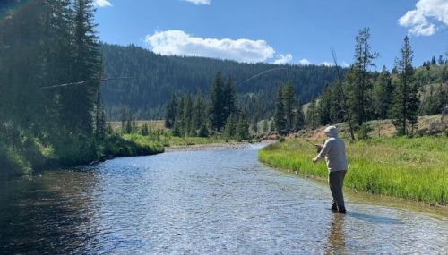 A person fishing in a clear river surrounded by trees and mountains under a bright blue sky.