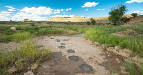 A dry landscape with grassy patches, shallow water pools, and rocky hills under a blue sky with scattered clouds.
