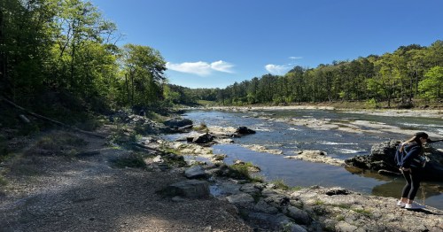 A scenic riverbank surrounded by trees under a clear blue sky, with a person walking along the rocky shore.