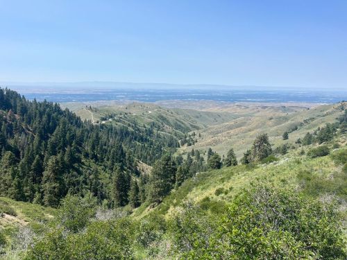 A panoramic view of rolling green hills and valleys under a clear blue sky, dotted with trees in the foreground.