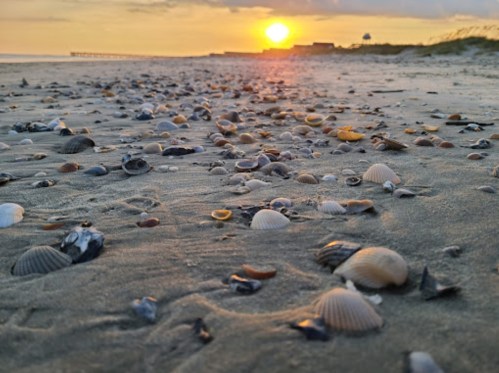 A sandy beach scattered with seashells, illuminated by a warm sunset in the background.