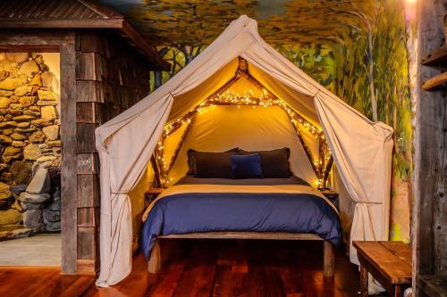 Cozy tent-style bed with fairy lights, set in a rustic room with a nature-themed mural.