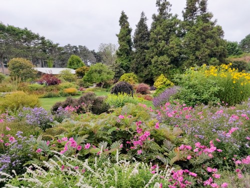A vibrant garden filled with colorful flowers, lush greenery, and trees under a cloudy sky.