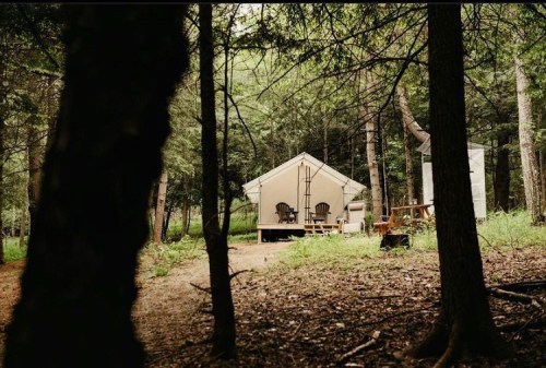 A cozy tent cabin nestled among trees, featuring a porch with two chairs and surrounded by a serene forest.