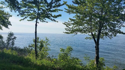 A serene view of a calm lake surrounded by green trees under a clear blue sky.