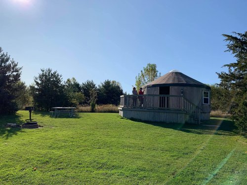 A yurt on a grassy area surrounded by trees, with a picnic table and fire pit nearby under a clear blue sky.
