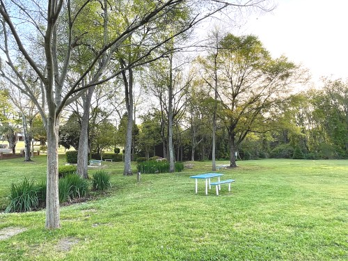 A peaceful park scene with green grass, trees, and a blue picnic table under a clear sky.