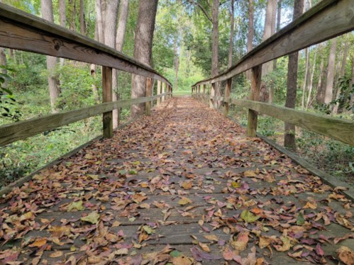 A wooden bridge covered in colorful autumn leaves, surrounded by trees in a serene forest setting.
