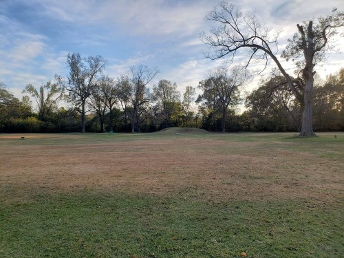 A grassy field with sparse trees under a blue sky, featuring a gentle slope in the background.