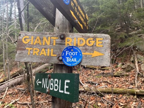 Wooden trail signs indicating "Giant Ridge Trail" to the right and "Nubble" to the left, surrounded by forest.