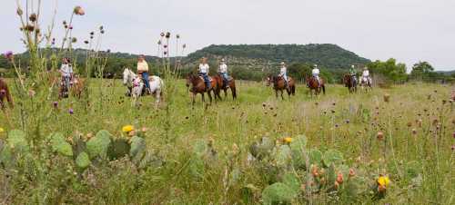 A group of horseback riders on a grassy field with wildflowers and cacti, set against a hilly landscape.