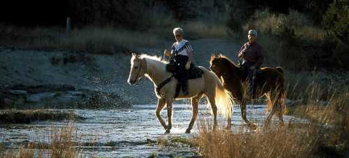 Two riders on horseback crossing a shallow stream, surrounded by tall grass and trees in a serene landscape.