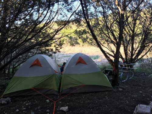 Two green and gray tents set up in a wooded area, with a picnic table visible in the background.