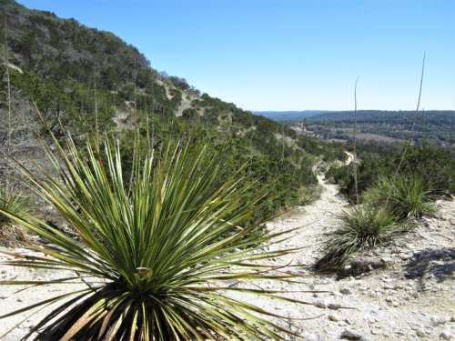 A scenic view of a winding trail through a hilly landscape, featuring green vegetation and clear blue skies.