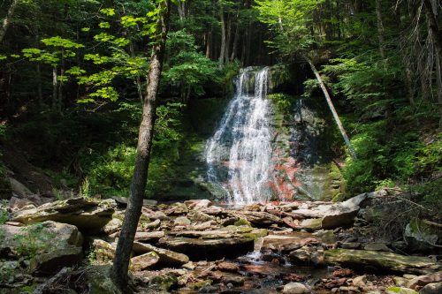 A serene waterfall cascades over rocks, surrounded by lush green trees and foliage in a tranquil forest setting.