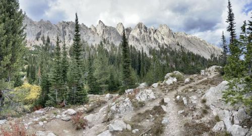 A rocky trail winds through a forest of tall pine trees, leading to rugged mountain peaks under a cloudy sky.