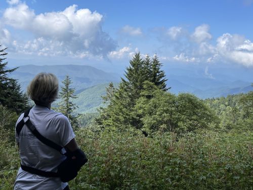 A person in a white shirt and arm sling gazes at a scenic mountain view with lush greenery and cloudy skies.