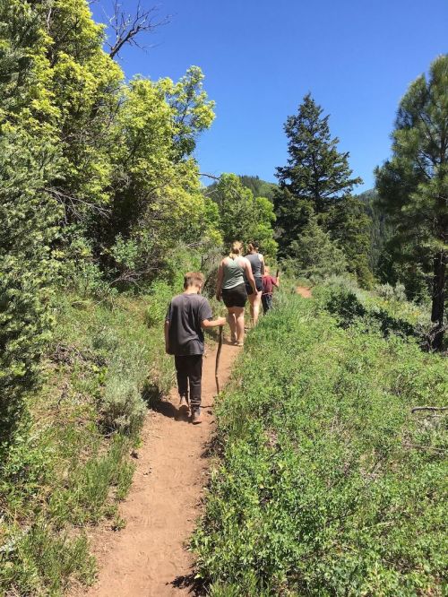 A child and adults hike along a dirt path surrounded by greenery and trees under a clear blue sky.