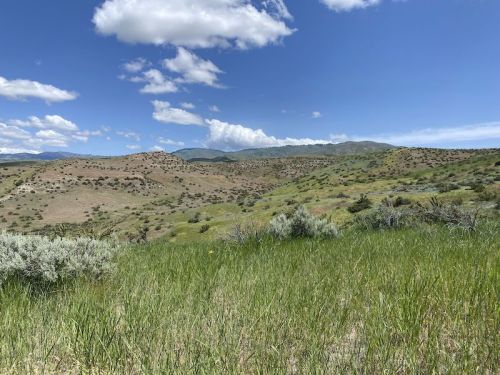 A scenic landscape featuring rolling hills, green grass, and a blue sky with fluffy clouds.