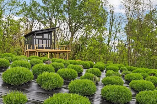 A modern black cabin on stilts surrounded by lush green bushes in a scenic landscape.
