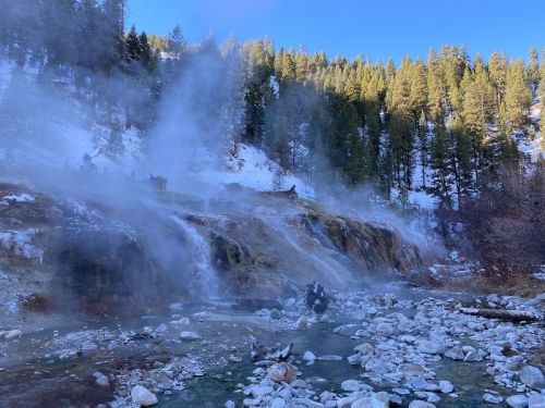Steam rises from a hot spring surrounded by snow-covered rocks and evergreen trees under a clear blue sky.