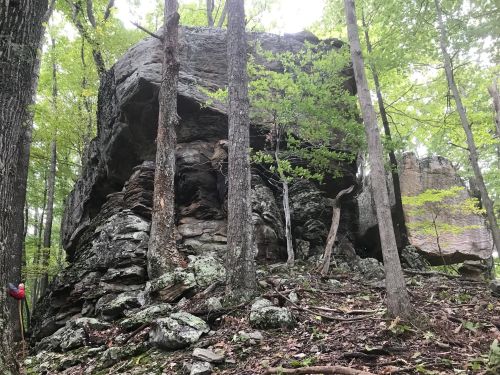 A large rock formation surrounded by trees in a forested area, with greenery and rocky terrain visible.