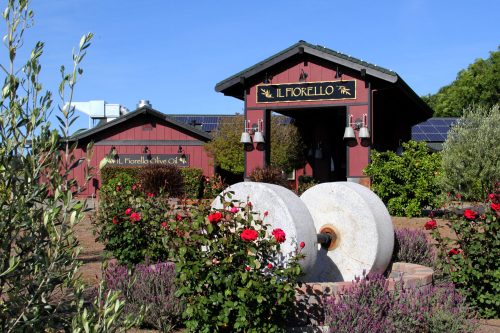 A rustic building with solar panels, surrounded by blooming roses and olive trees, featuring large stone olive mill wheels.