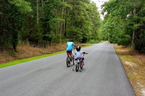 A person and a child ride bicycles down a quiet, tree-lined road.