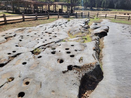 A rocky surface with numerous circular depressions, surrounded by a grassy area and wooden fencing in the background.