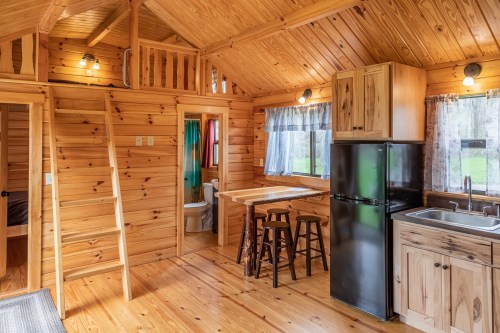 Cozy wooden cabin interior featuring a kitchen, dining area, and lofted sleeping space with natural light.