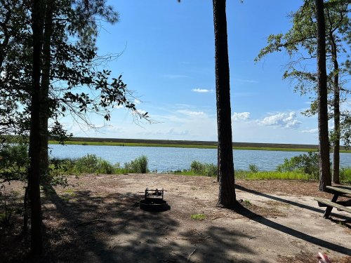 A serene view of a river surrounded by trees under a clear blue sky, with a picnic area in the foreground.